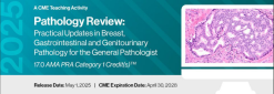 2025 Pathology Review: Practical Updates in Breast, Gastrointestinal and Genitourinary Pathology for the General Pathologist