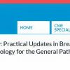 2025 Pathology Review: Practical Updates in Breast, Gastrointestinal and Genitourinary Pathology for the General Pathologist