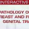 USCAP Pathology of the Breast and Female Genital Tract 2025