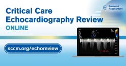 SCCM Critical Care Echocardiography Review 2024 (Videos + Slides + Quiz)