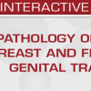 USCAP Pathology of the Breast and Female Genital Tract 2025