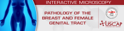 USCAP Pathology of the Breast and Female Genital Tract 2025