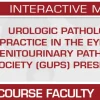 USCAP Urologic Pathology Practice in the Eyes of Genitourinary Pathology Society (GUPS) Presidents 2025