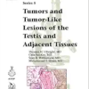 Tumors and Tumor-Like Lesions of the Testis and Adjacent Tissues (AFIP Atlas of Tumor and Non-Tumor Pathology, Series 5 Vol. 12) (Original PDF from Publisher)
