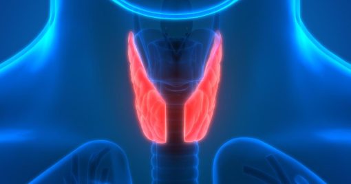 Harvard Clinical Endocrinology 2022