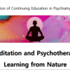 Harvard Meditation and Psychotherapy: Learning from Nature 2025