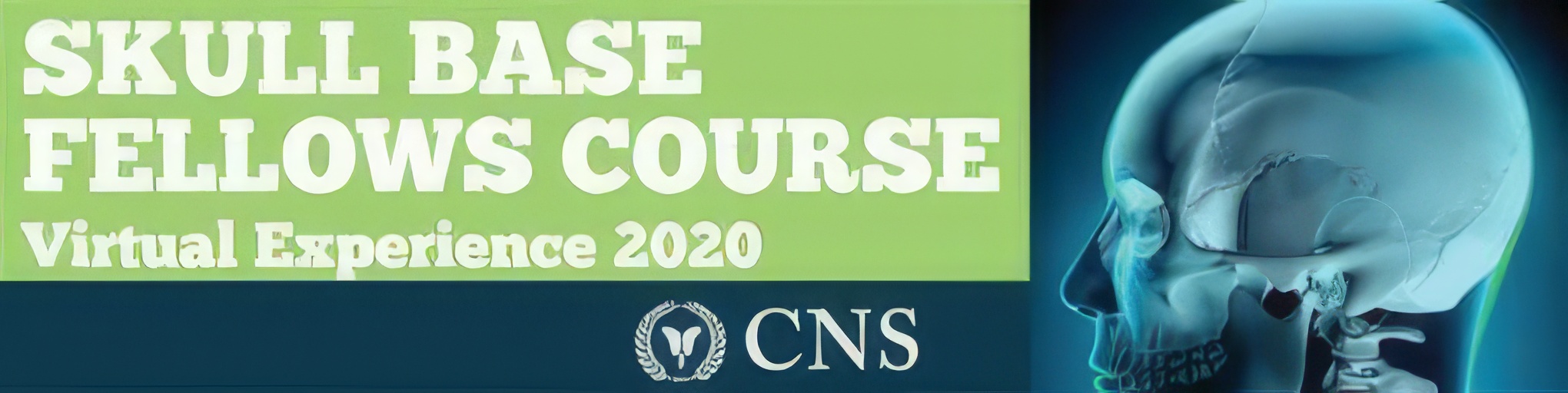 CNS Skull Base Fellows Course – Virtual Experience 2020
