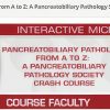 USCAP Pancreatobiliary Pathology from A to Z: A Pancreatobiliary Pathology Society Crash Course 2025