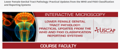 uscap Lower Female Genital Tract Pathology: Practical Updates from the WHO and FIGO Classification and Reporting Systems 2025