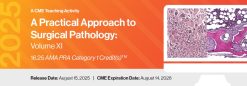 2025 A Practical Approach to Surgical Pathology Volume XI DocmedED