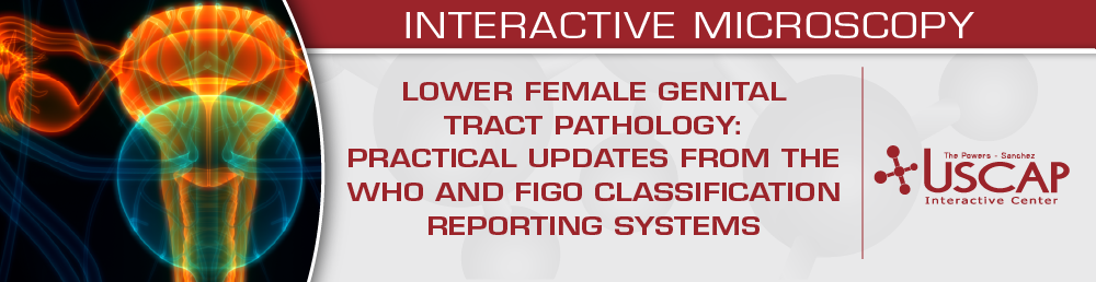 USCAP Lower Female Genital Tract Pathology Practical Updates from the WHO and FIGO Classification and Reporting Systems 2025