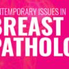 2025 Contemporary Issues in Breast Pathology (USCAP) (Videos + Slides)