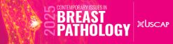 2025 Contemporary Issues in Breast Pathology (USCAP) (Videos + Slides)