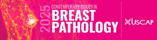 2025 Contemporary Issues in Breast Pathology (USCAP) (Videos + Slides)