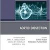Aortic Dissection, An Issue of Cardiology Clinics (Volume 43-2) (The Clinics Internal Medicine, Volume 43-2) (EPUB)