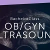 123Sonography OB/GYN Ultrasound BachelorClass 2022 (Videos + Quiz)