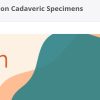 ASDS Hard Procedures Demonstrations on Cadaveric Specimens 2025