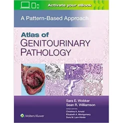 Atlas of Genitourinary Pathology: A Pattern Based Approach (ePub)