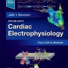 Zipes and Jalife’s Cardiac Electrophysiology From Cell to Bedside, 8th Edition (Original PDF from Publisher +video)