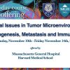Harvard Critical Issues in Tumor Microenvironment Angiogenesis, Metastasis and Immunology 2025