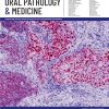 Journal of Oral Pathology and Medicine, Full Archive (2015 – 2025)