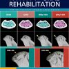 Journal of Oral Rehabilitation, Full Archive (2008 – 2025)