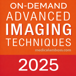ASE Advanced Imaging Techniques OnDemand 2025