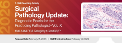 2026 Surgical Pathology Update: Diagnostic Pearls for the Practicing Pathologist Vol. IX - A CME Teaching Activity