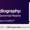 DocmedED 2026 Fetal Echocardiography Normal and Abnormal Hearts