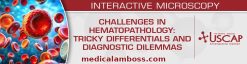 USCAP Challenges in Hematopathology: Tricky Differentials and Diagnostic Dilemmas (Videos + PDFs)
