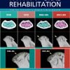 Journal of Oral Rehabilitation, Full Archive (2008 – 2025)