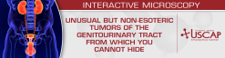 USCAP Unusual But Non-Esoteric Tumors of the Genitourinary Tract From Which You Cannot Hide 2026