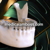 OHI-S Online congress on evidence-based temporomandibular disorders and bruxism