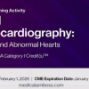 2026 Fetal Echocardiography: Normal and Abnormal Hearts (Videos)