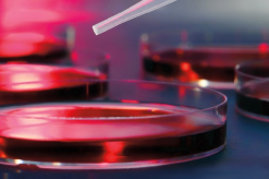 32nd Annual Mayo Clinic Hematology-Oncology Reviews 2023