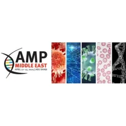 AMP Middle East 2025 Recordings