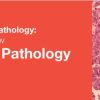 Classic Lectures in Pathology: What You Need to Know: Gynecologic Pathology 2018