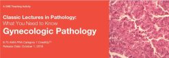 Classic Lectures in Pathology: What You Need to Know: Gynecologic Pathology 2018