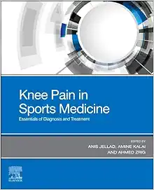 Knee Pain In Sports Medicine: Essentials Of Diagnosis And Treatment (True PDF From Publisher)