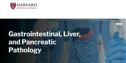Harvard Gastrointestinal, Liver, and Pancreatic Pathology 2025