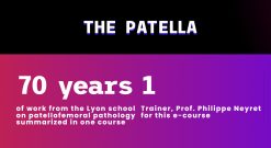 Stapiens E-Course The Patella 2024