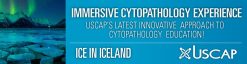 USCAP Immersive Cytopathology Experience ICE in Iceland 2019