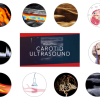 123Sonography Carotid Ultrasound MasterClass