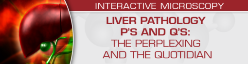 USCAP Liver Pathology P’s and Q’s The Perplexing and the Quotidian 2022
