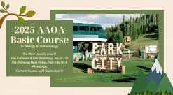 AAOA Basic Course in Allergy & Immunology 2025