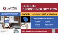 Harvard Clinical Endocrinology 2026