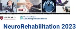 Harvard NeuroRehabilitation 2023