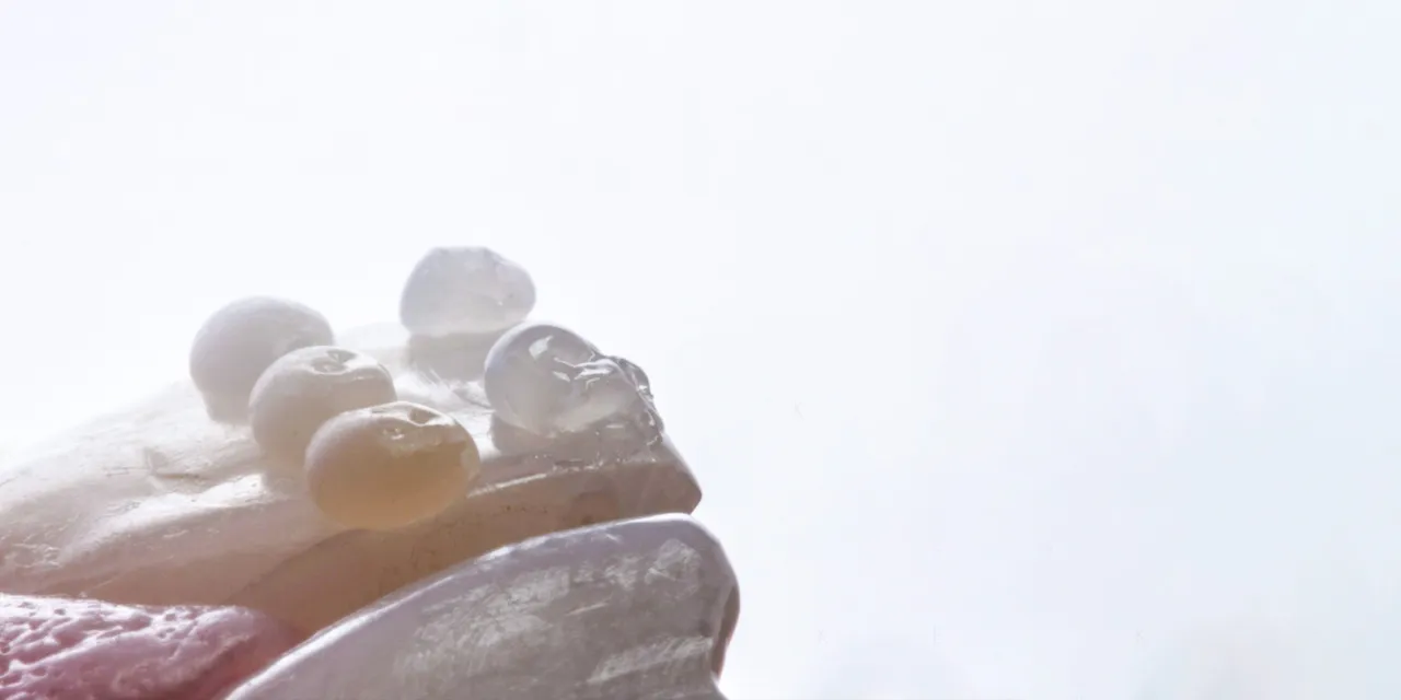 OHI-S Aesthetic Evolution 2