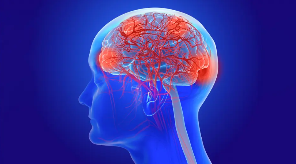 University of Miami Thinking Through Alzheimer’s: Exploring Cognition, Psychopharmacology and Geriatric Psychiatry 2026 University of Miami Thinking Through Alzheimer’s