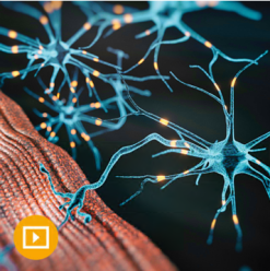 Electrodiagnostic Medicine and Neuromuscular Disorders 2023 ( VIDEOS)